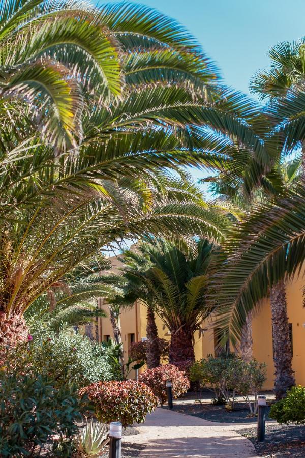 كوراليهو Fuerteventura Apartments Tamarindo 1 المظهر الخارجي الصورة